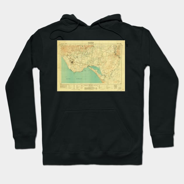 Historic Bass Coast Hoodie by Andyt